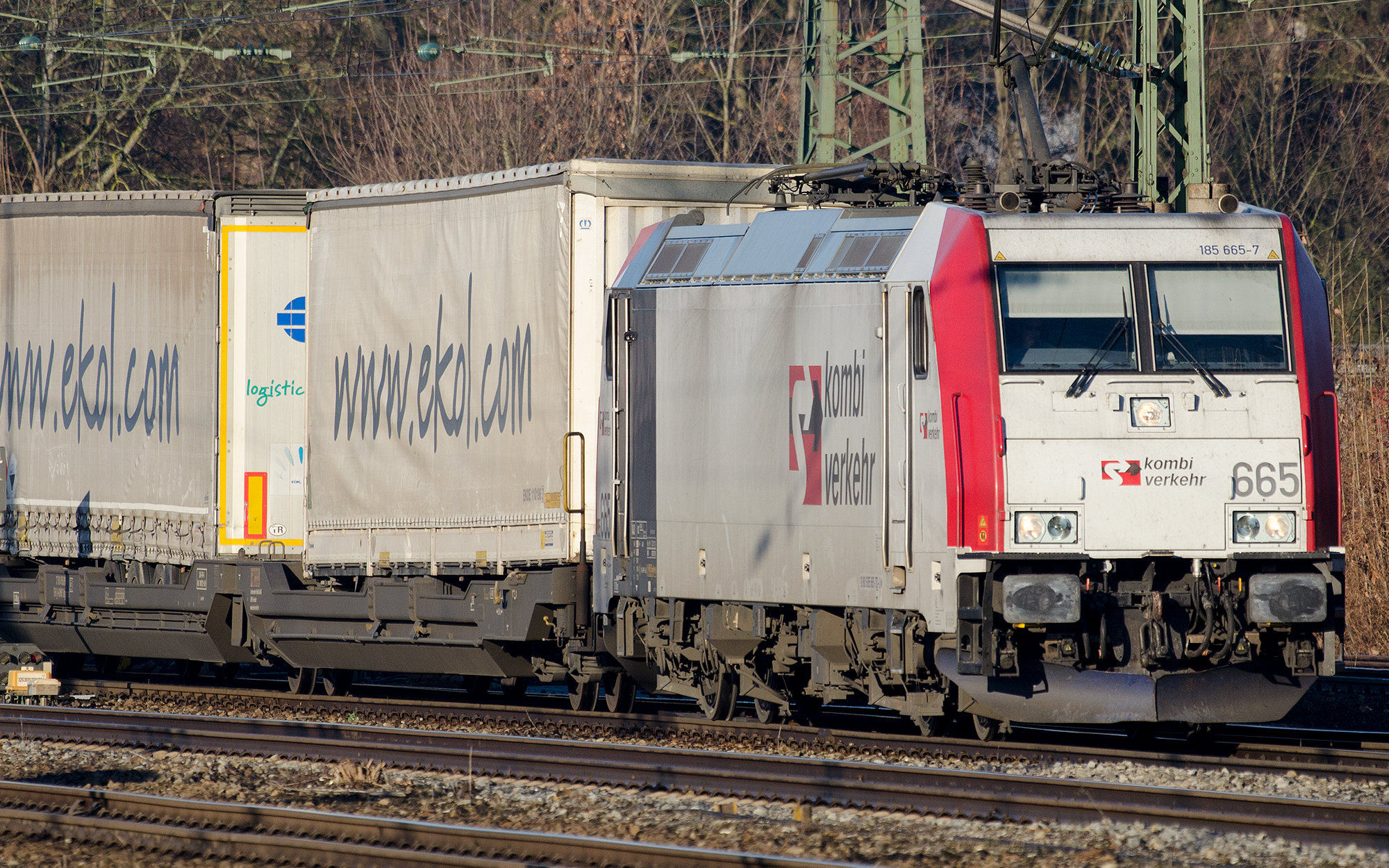 A typical freight train. There are no double-stack container trains as their tunnels and cantenary isn't designed for them (I'm guessing)